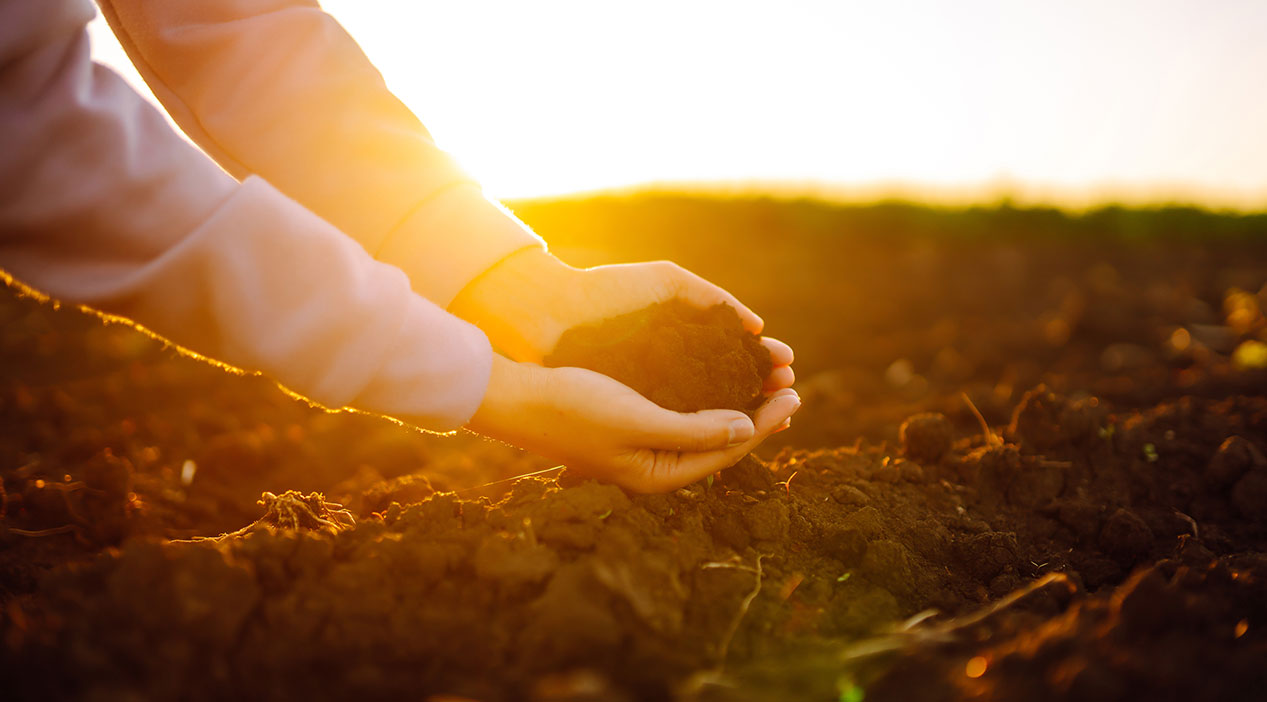 Revelando el verdadero valor del suelo